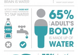 How much do you know about water - infographic