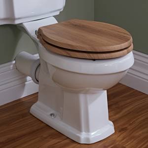 traditional toilet with wood seat