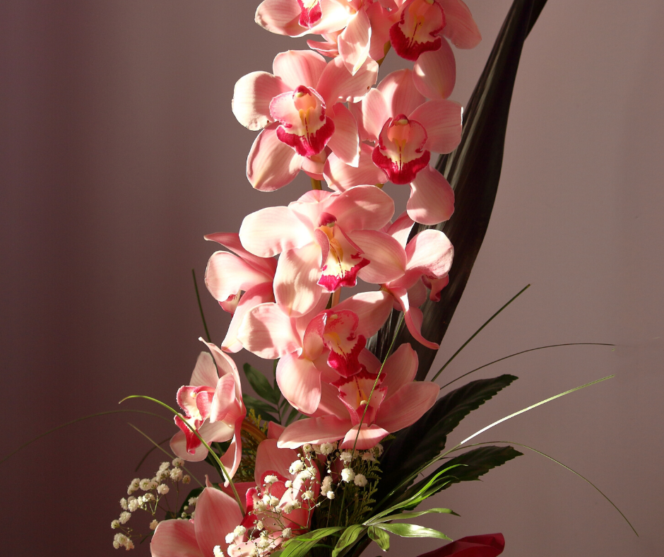 Pink Orchid