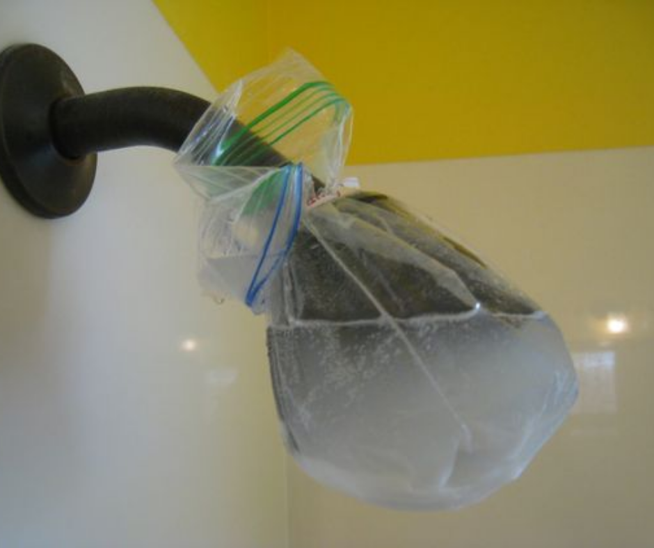 shower head with bag