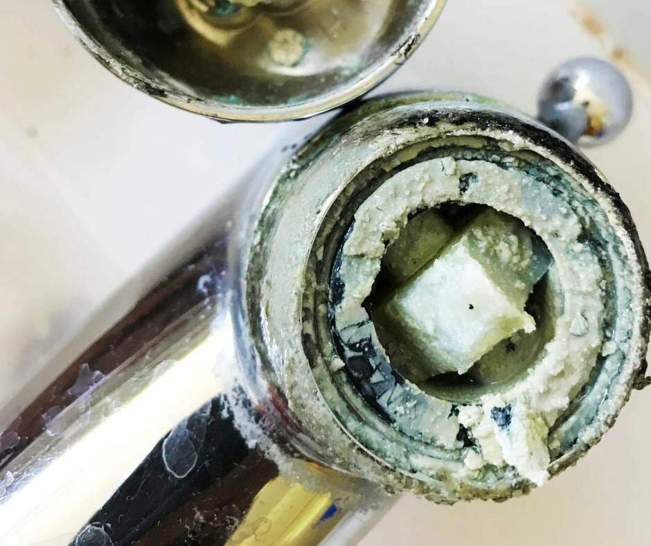 limescale on shower head