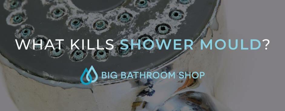 FAQ Header Image (What kills shower mould?)