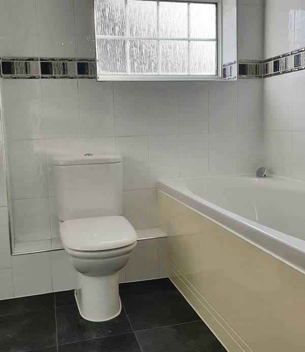 sophie's toilet before renovation began
